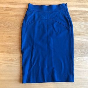 Diane Von Furstenberg Blue Pencil Skirt